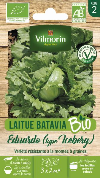 Potagères - Laitue Iceberg Eduardo - BIO - PACKAGING_RECTO